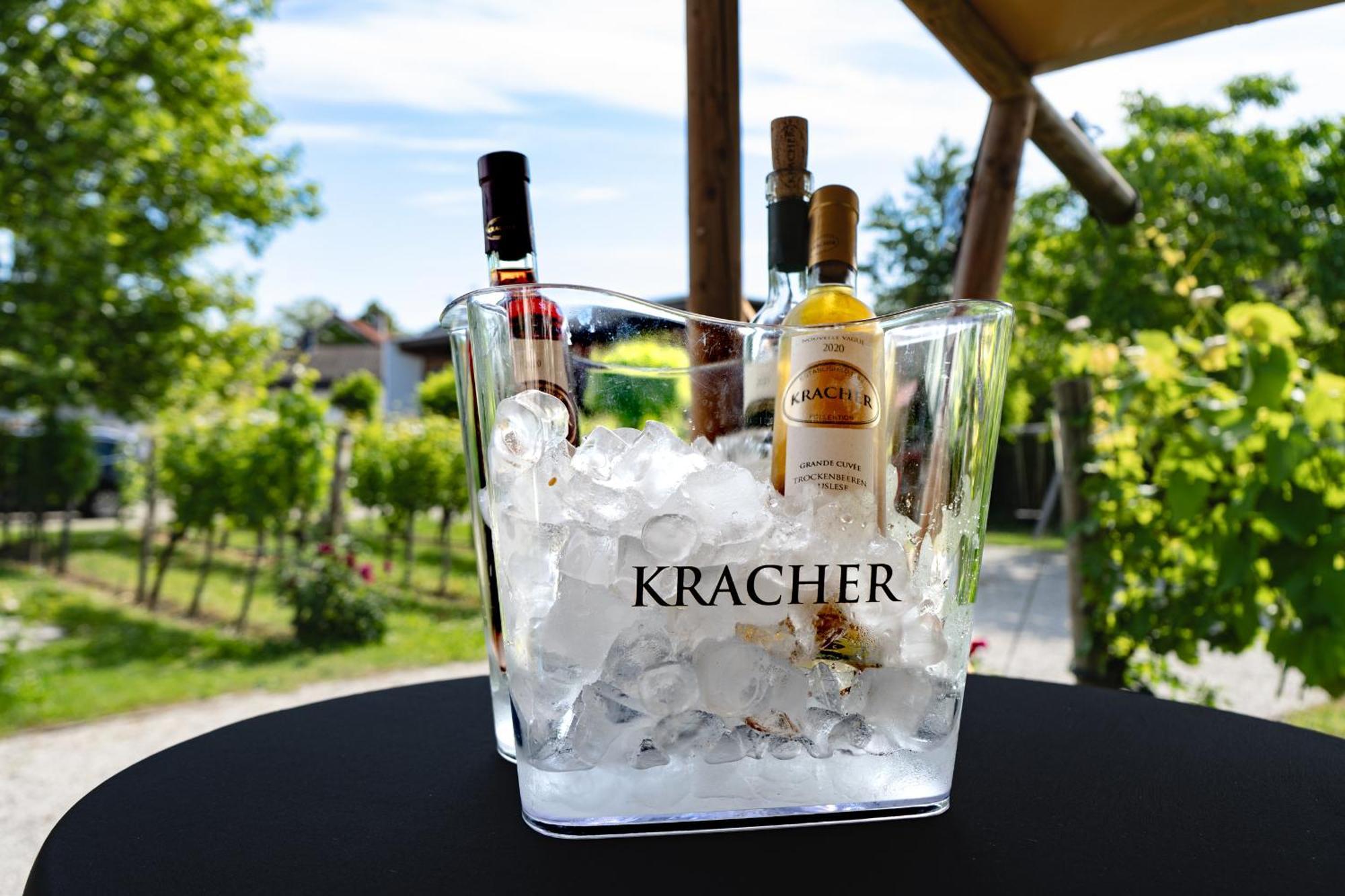 Kracher Guesthouse No 7 - Inklusive Pool Illmitz Bagian luar foto